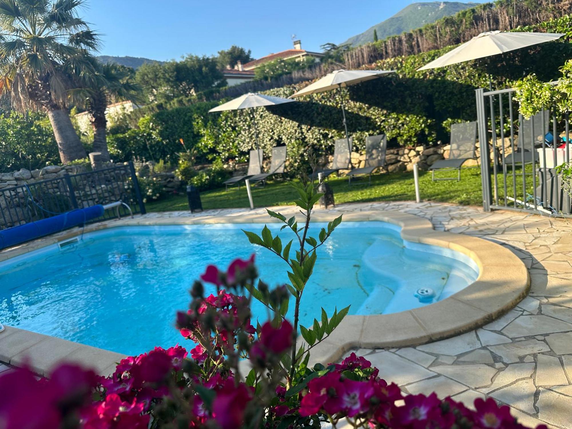 La Villa Des Oliviers Sorède Εξωτερικό φωτογραφία